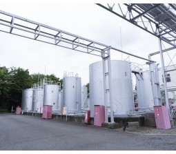 1000000007 28244303 path2