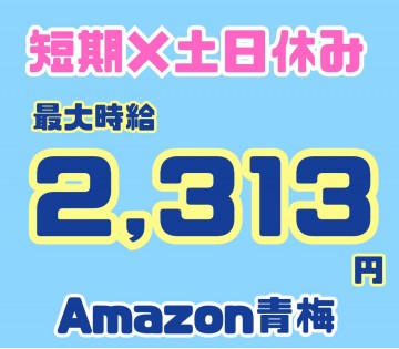 土日休みは当社のみ！駅チカで通いやすい！◎【倉庫内×シンプル軽作...