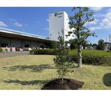 1041500001 28183497 path2