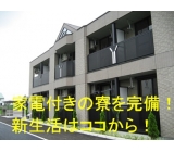 株式会社エンター