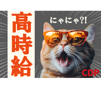 シーデーピージャパン株式会社