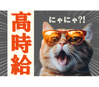 シーデーピージャパン株式会社