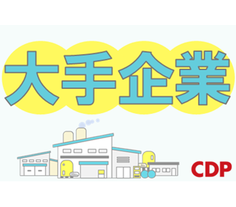 シーデーピージャパン株式会社