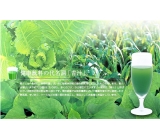 株式会社東洋新薬