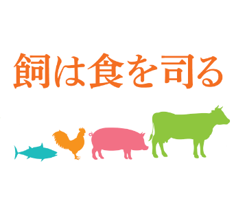 1119130001 27113432 path2