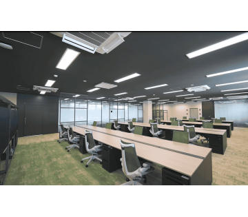 1132250001 28171416 path2