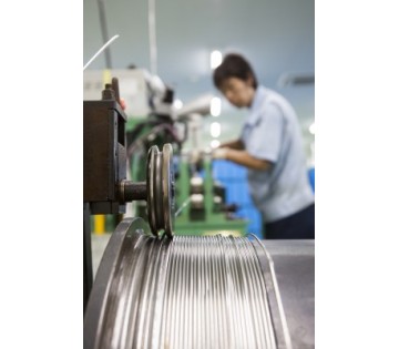 1134320001 28262605 path3