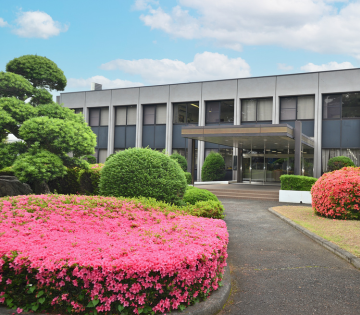 1137380002 28296436 path2