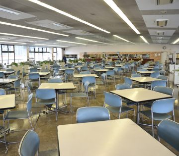 1137380002 28296436 path3