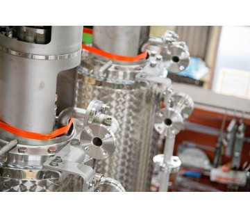 1137400001 28232817 path2