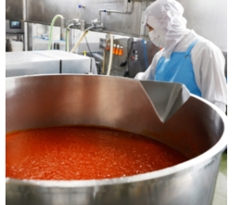 1138130001 28262002 path3