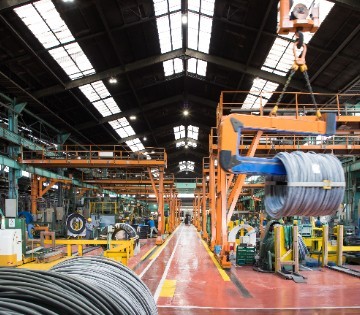 1139240001 28396504 path3