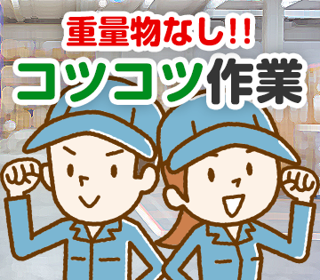 株式会社シー・アイビス