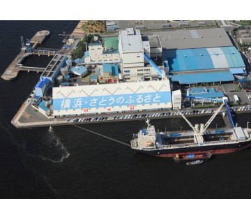 太平洋製糖株式会社