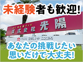未経験スタートの若手メンバーがノビノビと活躍しています！